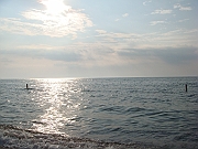Western Michigan [2009] 580